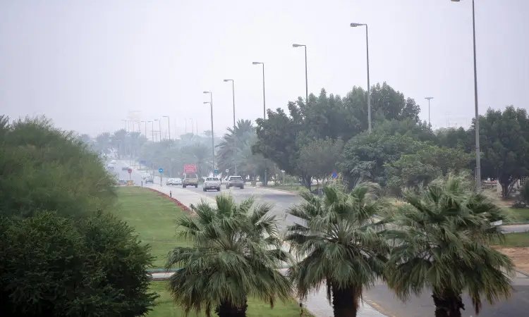A street shrouded in a light fog is lined with public sector and green spaces, as part of the seventh palm tree phase of the Green Qassim Land campaign. As cars make their way down the wet road near Qassim University, lampposts dot the center of the street. Dressed in the Saudi Ghattara, Shemagh, Eqal and Bisht, the people of Qassim stand in a display of patriotic confidence amidst the light and greenery.