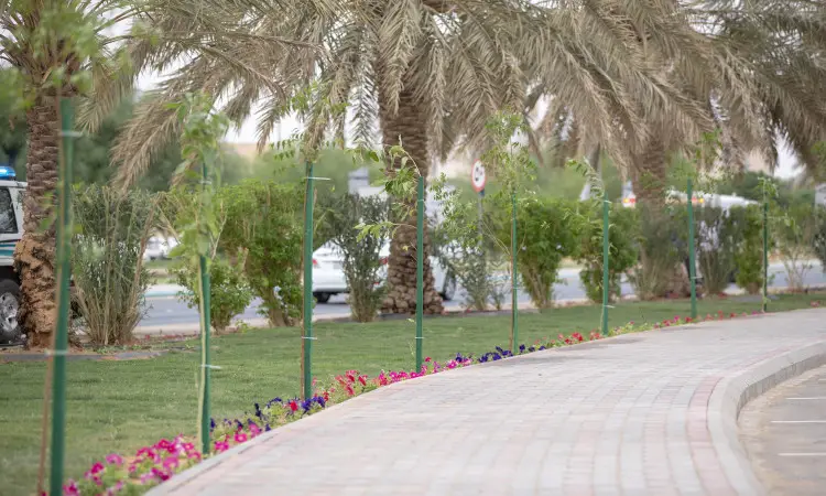 A multicolored walkway with partly flexible textures to partly grass decorated with young trees and flowers, lined with continuous palm trees in a scene that reflects the beauty of Qassim's green land at Qassim University. Adding an aesthetic touch to the place. The place emphasizes the authentic Saudi character through the presence of the attendees, namely the Ghattara or Shemagh with Eqbal, in addition to the Saudi Bisht, which reflects the authenticity and formality of the university.