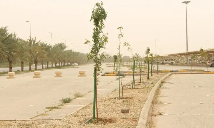 The image remains static and almost empty, lined with young trees that have been supported by lighting stakes on their heights and stability. In the background, some parked cars and palm trees appear amidst the haze, reflecting an aspect of the "Green Earth" campaign launched by Qassim University. The presence of the Ghutra, Shemagh and Egal with the Saudi Bisht, emphasizes the national identity and commitment to the Kingdom's traditional heritage while participating in the activities of the university's small initiative.