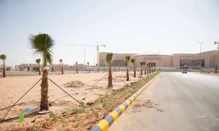 A small palm tree, supported by wooden stakes, borders a sandy construction site where the walls and a large modern building stand out. Set under a clear sky as part of Qassim University's efforts to preserve the environment for research and development, a number of guides to the project are dressed in the Saudi Ghutrah or Shemagh with the official Saudi Qal and Bisht, including national verification and reinforcing the university's patriotic values.