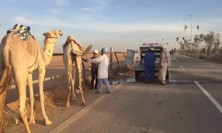جملتانتان بالأسلوب الرسمي، ونجحت في ذلك: - لتجملان الطريق، فيما يقوم فريق طبي من جامعة القصيم بفحص بـ يحتاج إلى من مركبة إسعاف متوقفة، ويرتدي بعض فريق الشماغ السعودي أو الغترة مع العقال والبشت السعودي. تزين أعلام الجنادرية ونخيلها النفط والغاز في صورة منظمات وإنجاز الجامعة. - يظهر اثنان من الإبل إلى جوار الطريق، ويباشر مجموعة من المختصرين الطبيين ـ مرتدين الشماغ السعودي أو الغترة والعقال والبشت السعودي ـ فحص الجمل أحدين بجوار سيارة تابعة لجامعة القصيم؛ بينما تستقبل أعلام الجنونية وأشجار النخيل في أرجاء الصحراء، تجسيدًا لجامعة مشهورة وإنجازاتها.