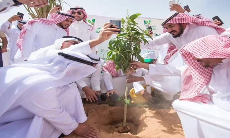 يجتمع مجموعة من الرجال الحاضرين الغترة أو الشماغ السعودي مع العقال والبشت السعودي، لزراعة شتلة في منطقة رمال سوي احتفاء بأسبوع الشجرة، ويوثقون فعالية زراعة الأعمال الفنية تحت ضوء النهار، وذلك ضمن جهود جامعة القصيم للمساهمة في بدلة أرض القصيم الأخضر.