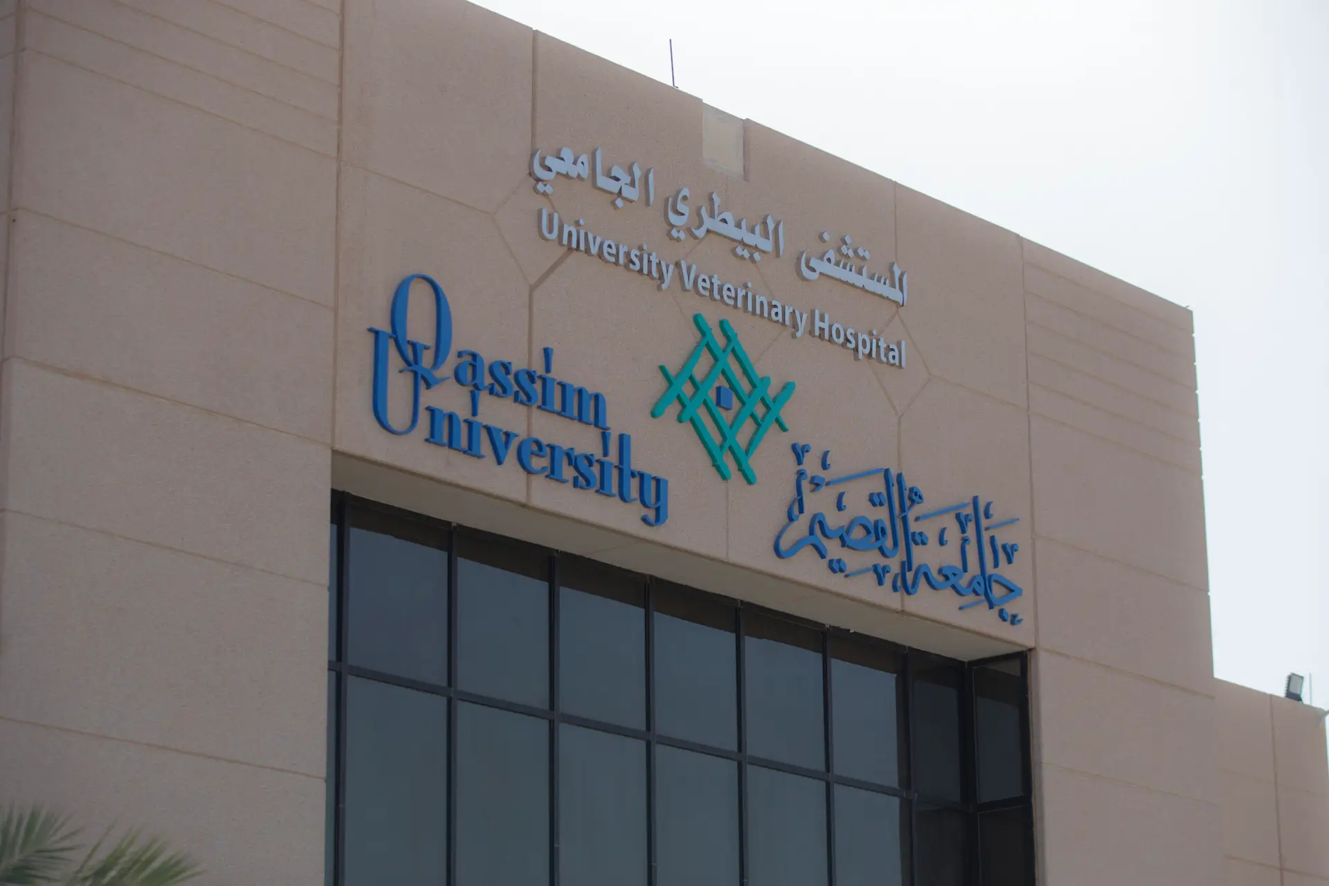 تظهر في صورة مبنى الحرم الجامعي لافتة للنظر باللغة الإنجليزية والإنجليزية مكتوب عليها "مستشفى الجامعة للحجز" و"جامعة القصيم". ويتميز المبنى بواجهة بيضاء اللون تتوسطها نوافذ، وتطلى شعارات زرقاء داكنة لتشير إلى هوية الجامعة.