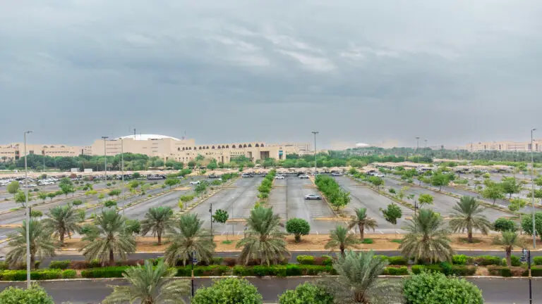 مواقف مميزة تتوزع فيها السيارات، وتحفها النخيل والمساحات الخضراء تحت سماء غائمة. عزف في الخلفية مباني مؤسسية بلون بيج، وكراسي جلوس بحثية في جامعة القصيم. يسود المشهد بهدوء وجوٌ غائم يعكس الطابع الرسمي للجامعة.