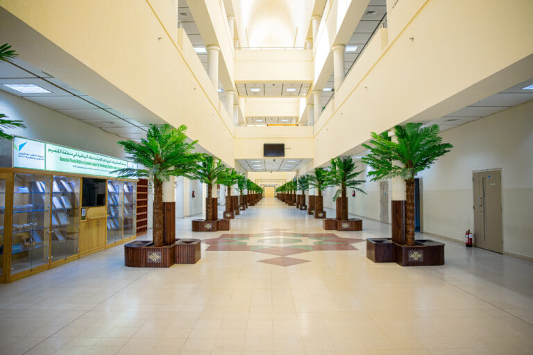 A wide, spacious, well-lit corridor lined with artificial palm trees planted in large pots. The left side is adorned with a display window, a display board, and a signboard in Arabic with the words Medical Sciences Department, and high ceilings and balconies give the place a sense of spaciousness and spaciousness.