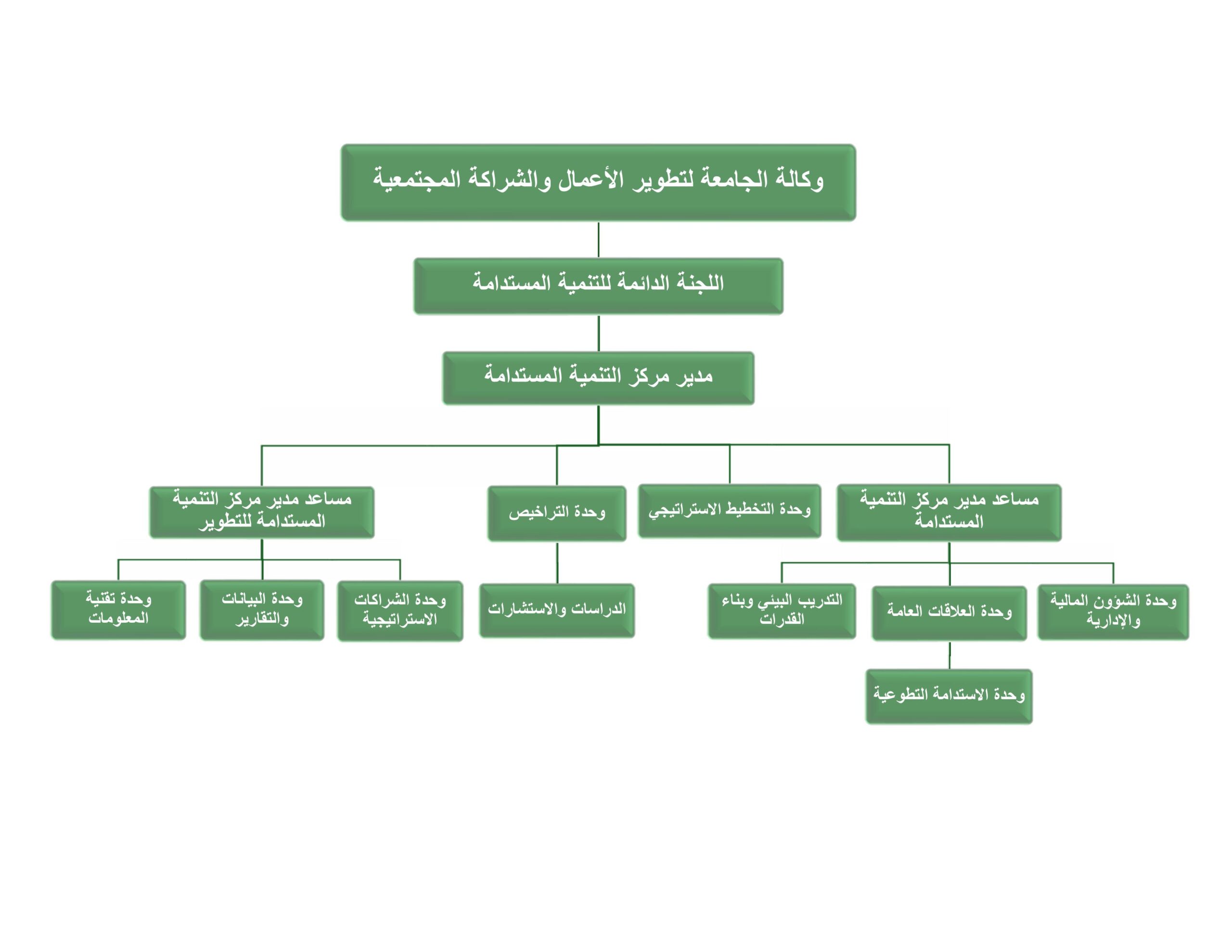 صورة الهيكل التنظيمي