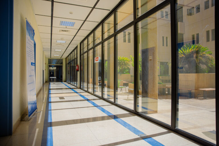 A bright corridor in a bright section of the Public Health Department, one side of which features wide floor-to-ceiling windows that let in natural sunlight and overlook an outdoor patio with tables and plants. The corridor's floor is punctuated by blue stripes over glossy tiles, reflecting a formal, welcoming environment that promotes wellness.