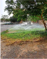 A green irrigation device at Qassim University embodies the Saudi community's keenness to rationalize water and support agriculture.