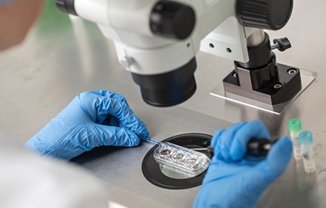 A student in the tissue lab at Qassim University examines a sample microscopically for academic research purposes.