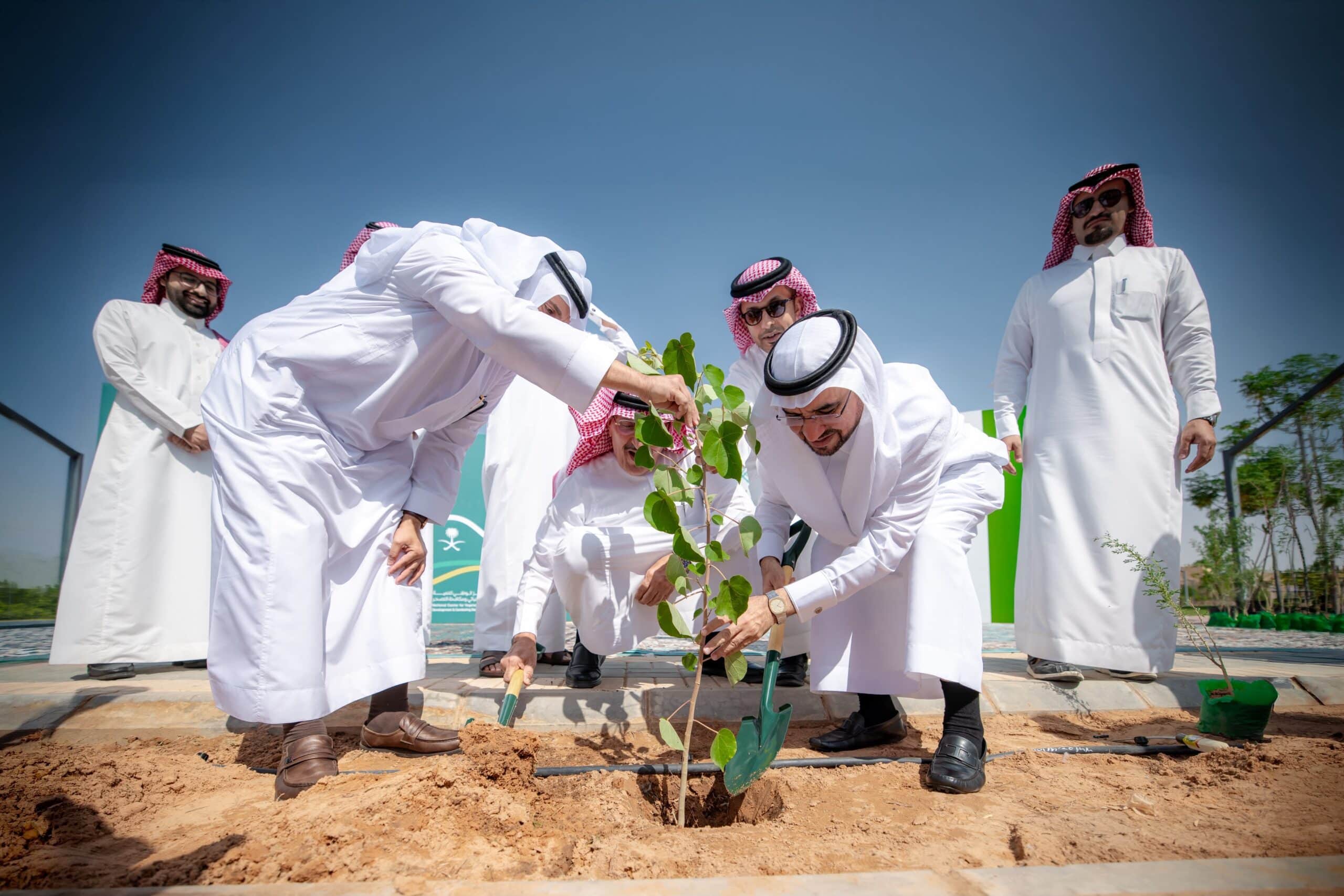 مبادرة جامعة القصيم البيئية لغرس الأشجار في بيئة صحراوية.